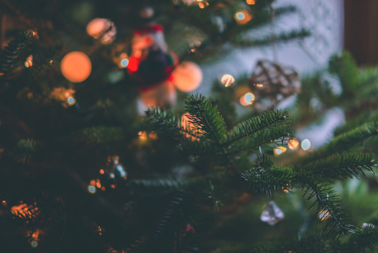 Celebrating Christmas Eve with Artificial Trees – A Reflection of Faith and Eternity