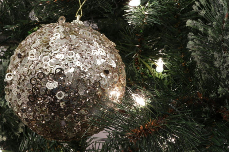 Tips for the Perfect Christmas Tree with Lights